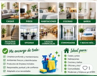 Trabajo de limpieza por horas