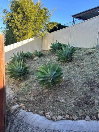 Servicio de Jardinería Profesional