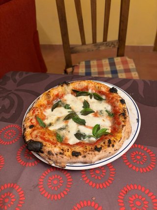 Horno Pizza CREATE 12 NO NEGOCIABLE