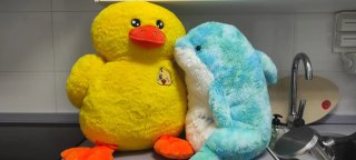 Set de 2 Peluches: Delfín y Pato