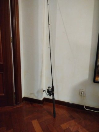 Caña de Pescar con Carrete