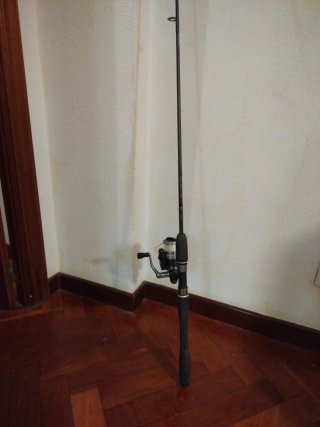 Caña de Pescar con Carrete