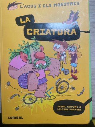 Els carters de l'espai