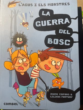 Els carters de l'espai