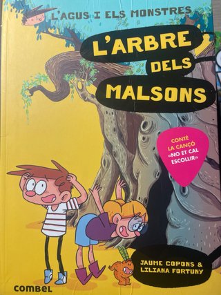 Els carters de l'espai
