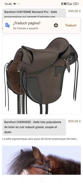 Montura de Equitación Marrón