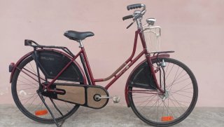 Bicicletta da donna Neviani