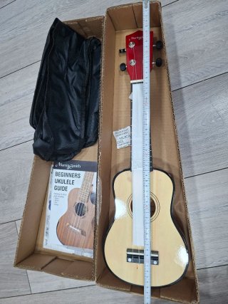 Ukulele Martin Smith con guida