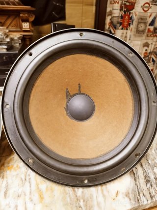 2 Woofers PHILIPS  AD-1256W8         12  PULGADAS