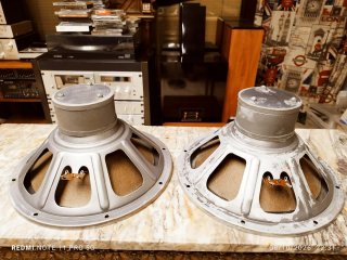 2 Woofers PHILIPS  AD-1256W8         12  PULGADAS