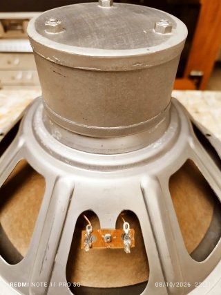2 Woofers PHILIPS  AD-1256W8         12  PULGADAS