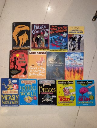 Lote 53 libros infantiles juveniles Español inglés