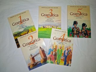Lote de libros de gramatica inglesa y vocabulario.