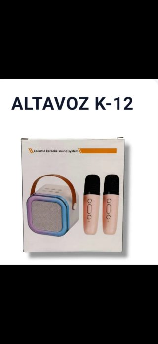 Altoparlante Karaoke K-12 con 2 Microfoni