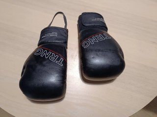 Guantes de boxeo TRNG negros