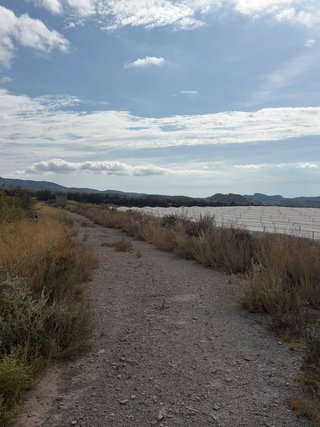 Finca de uva de mesa en Agost: 2,5 ha