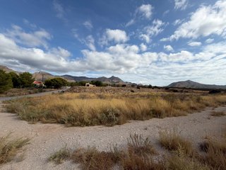 Finca de uva de mesa en Agost: 2,5 ha
