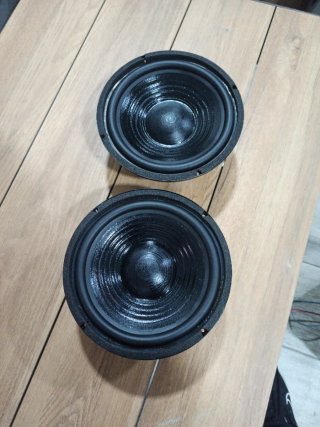 Altavoces Hi-Fi Repro 100W 8 Ohms