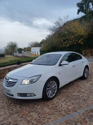Opel Insignia 2013