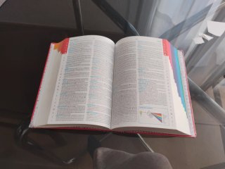 Diccionario avanzado primaria: lengua española