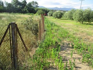 Terreno en venta en Capmany