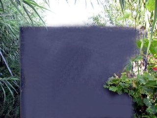 Terreno en venta en Capmany