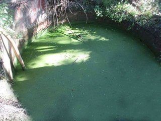 Terreno en venta en Capmany