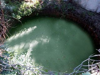 Terreno en venta en Capmany