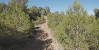Casa rural en venta en Costitx