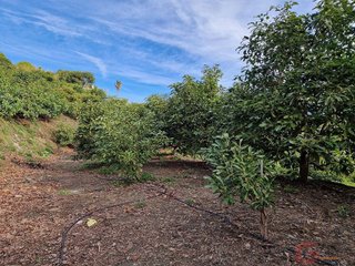 Terreno en venta en Monte los Almendros - El Pargo - Costa Aguilera en Salobreña