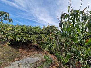 Terreno en venta en Monte los Almendros - El Pargo - Costa Aguilera en Salobreña