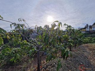 Terreno en venta en Monte los Almendros - El Pargo - Costa Aguilera en Salobreña