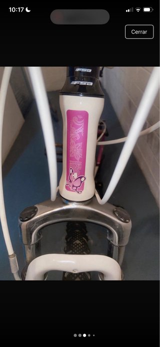 Bicicleta Coluer Morada y Blanca