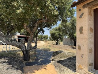 Casa rural en venta en San Vicente de Alcántara