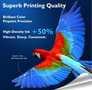 Set 8 cartuchos tinta de color 603XL Epson XP-2100