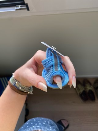 Zapatos para Perro Talla 3