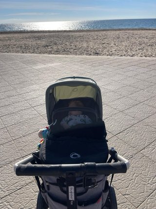 Carro Bugaboo Fox
