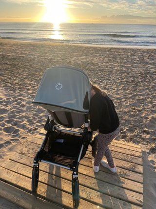 Carro Bugaboo Fox