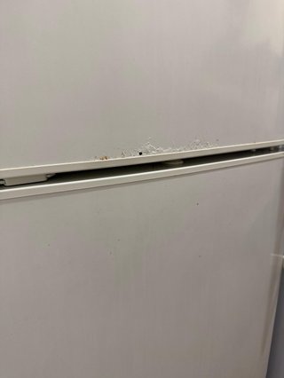 Frigorífico nevera combi Siemens No Frost 200 cm