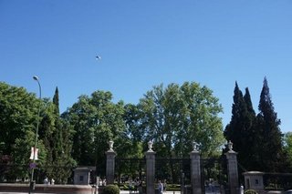 Ático en alquiler en Jerónimos en Madrid