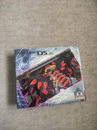 Nintendo DS Lite