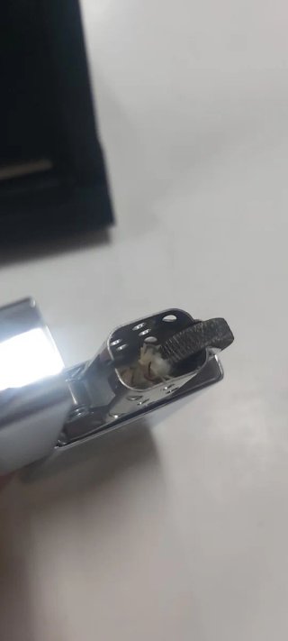 Zippo Slim Oso Teddy