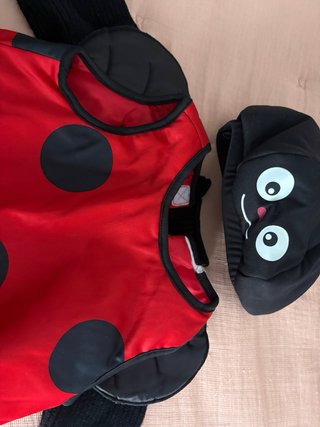 Disfraz de Mariquita con Jersey
