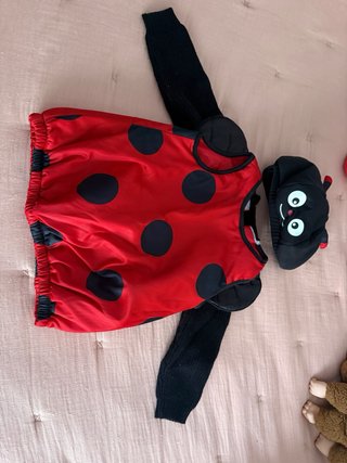 Disfraz de Mariquita con Jersey