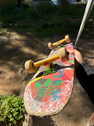 Skate