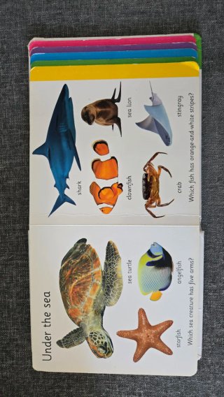 Libro de animales en inglés