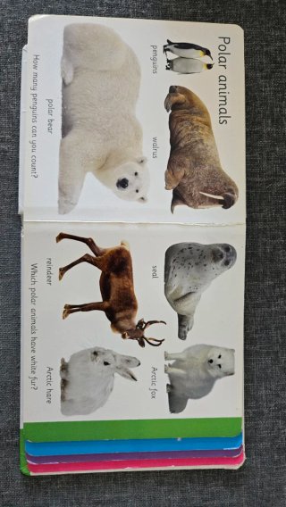 Libro de animales en inglés