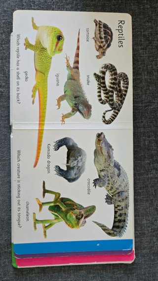 Libro de animales en inglés