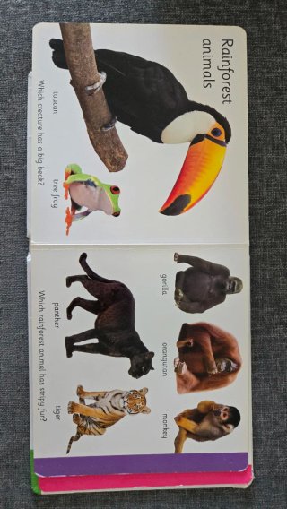 Libro de animales en inglés