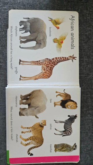 Libro de animales en inglés